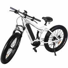Electric Bicycle for Outdoor with Hidden Battery and MID Drive Motor